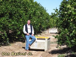 Don Barioni Jr. and his lemon farm