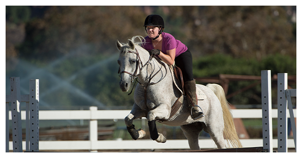 An equestrian riding a horse and jumping through a course